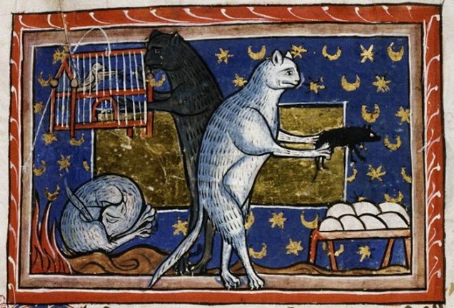 medieval cats.jpg